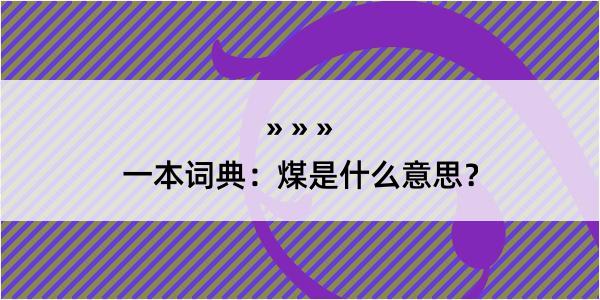 一本词典：煤是什么意思？