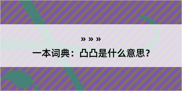 一本词典：凸凸是什么意思？