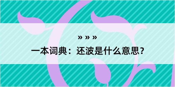 一本词典：还波是什么意思？