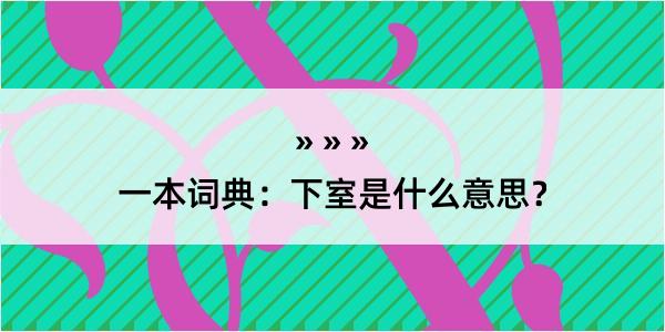 一本词典：下室是什么意思？