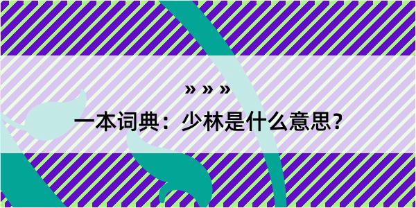 一本词典：少林是什么意思？