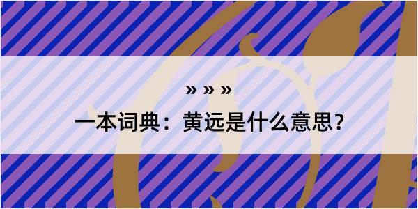 一本词典：黄远是什么意思？