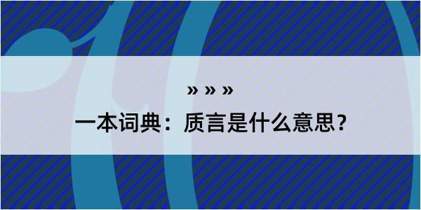 一本词典：质言是什么意思？