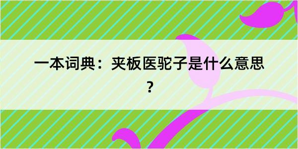 一本词典：夹板医驼子是什么意思？