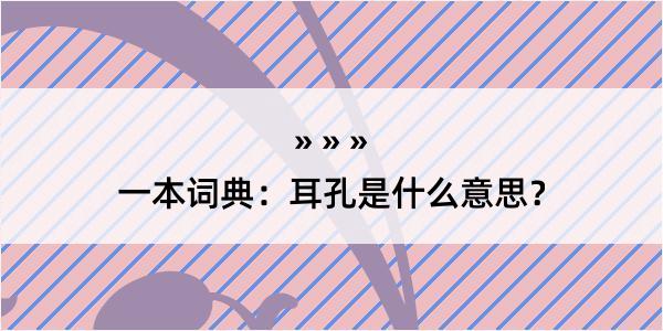 一本词典：耳孔是什么意思？