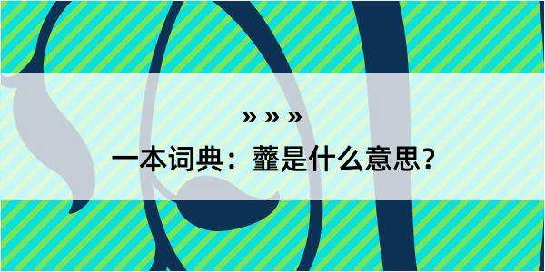 一本词典：虀是什么意思？