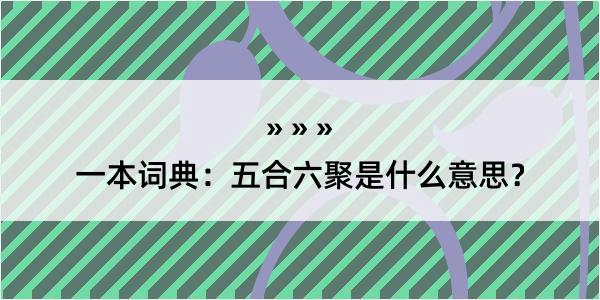 一本词典：五合六聚是什么意思？