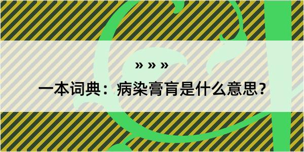 一本词典：病染膏肓是什么意思？