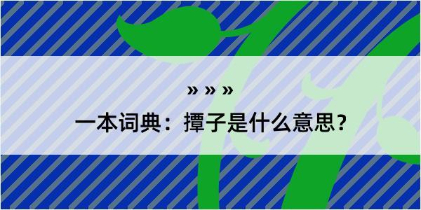 一本词典：撢子是什么意思？