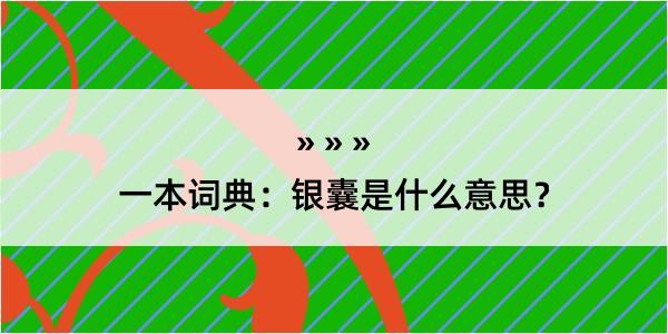 一本词典：银囊是什么意思？