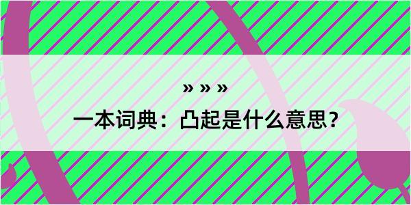 一本词典：凸起是什么意思？