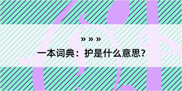 一本词典：护是什么意思？