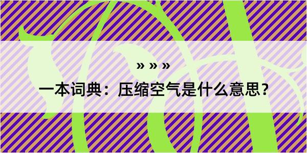 一本词典：压缩空气是什么意思？