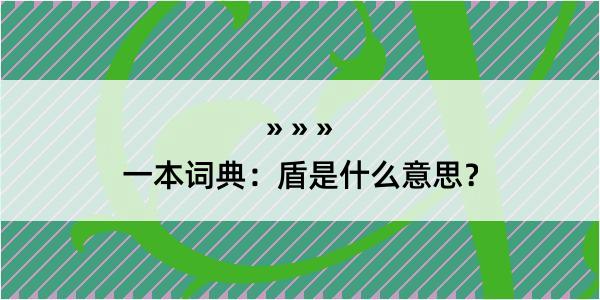 一本词典：盾是什么意思？