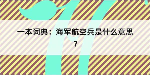 一本词典：海军航空兵是什么意思？