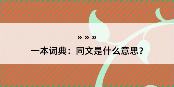 一本词典：同文是什么意思？