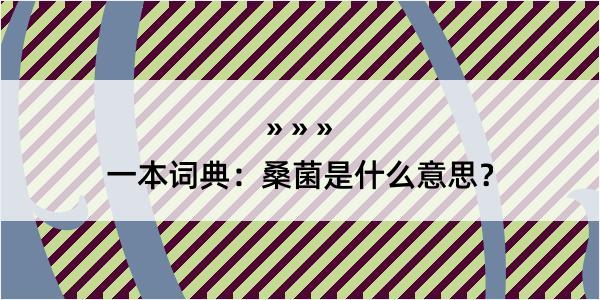 一本词典：桑菌是什么意思？