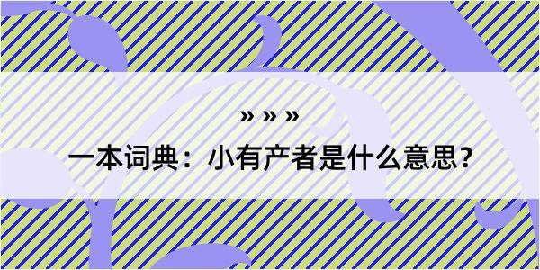 一本词典：小有产者是什么意思？