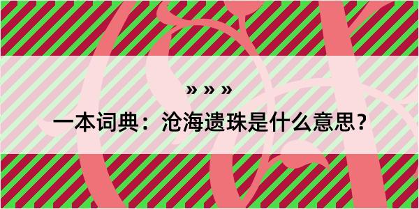 一本词典：沧海遗珠是什么意思？