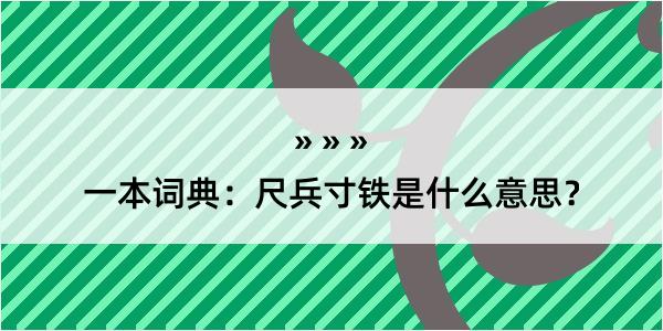 一本词典：尺兵寸铁是什么意思？