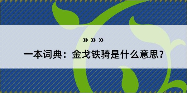 一本词典：金戈铁骑是什么意思？