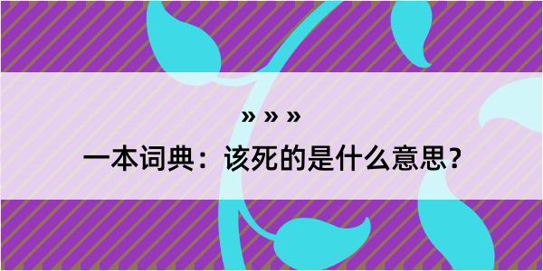 一本词典：该死的是什么意思？