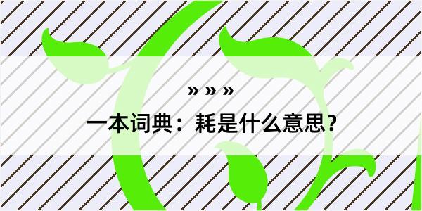 一本词典：耗是什么意思？