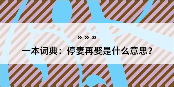 一本词典：停妻再娶是什么意思？