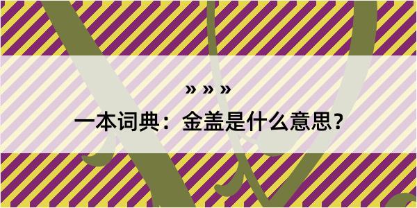 一本词典：金盖是什么意思？