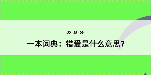 一本词典：错爱是什么意思？