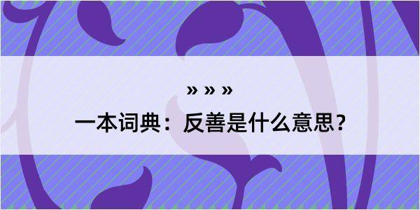 一本词典：反善是什么意思？