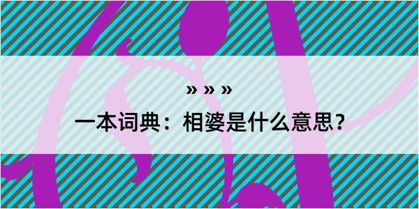 一本词典：相婆是什么意思？