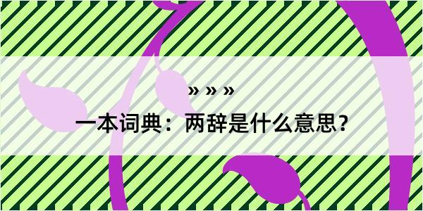 一本词典：两辞是什么意思？