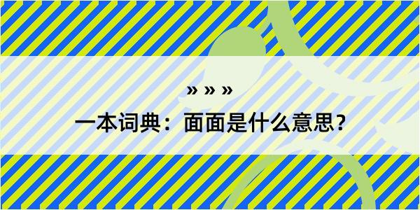 一本词典：面面是什么意思？