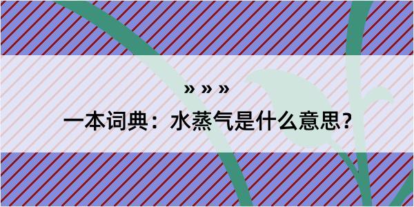 一本词典：水蒸气是什么意思？