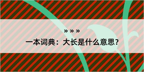 一本词典：大长是什么意思？