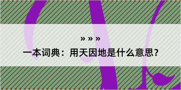 一本词典：用天因地是什么意思？