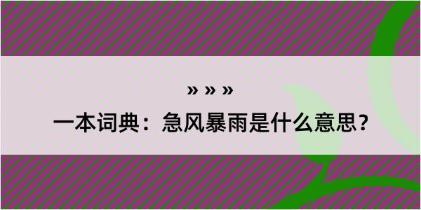 一本词典：急风暴雨是什么意思？