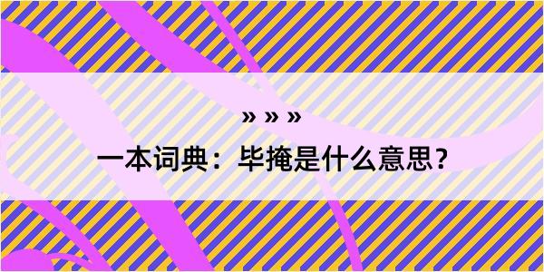 一本词典：毕掩是什么意思？