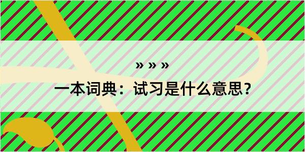 一本词典：试习是什么意思？