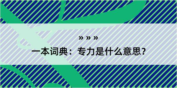 一本词典：专力是什么意思？