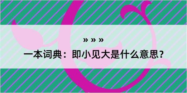 一本词典：即小见大是什么意思？