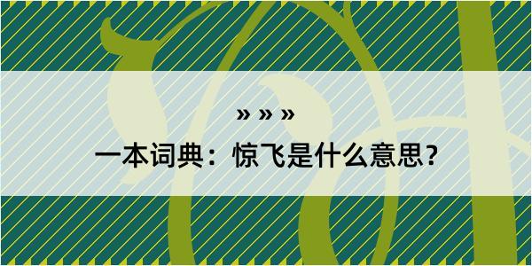 一本词典：惊飞是什么意思？