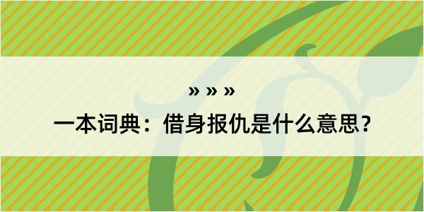 一本词典：借身报仇是什么意思？