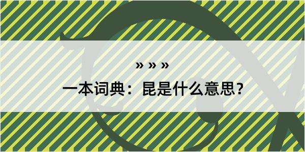 一本词典：昆是什么意思？