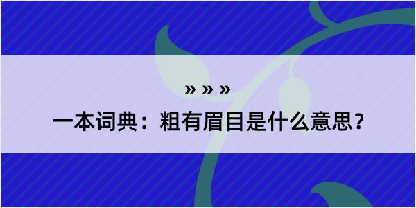 一本词典：粗有眉目是什么意思？