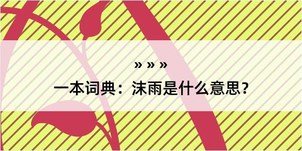 一本词典：沫雨是什么意思？