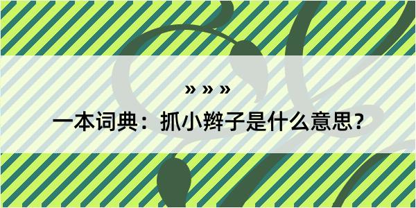 一本词典：抓小辫子是什么意思？