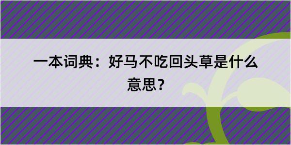 一本词典：好马不吃回头草是什么意思？