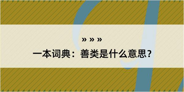 一本词典：善类是什么意思？